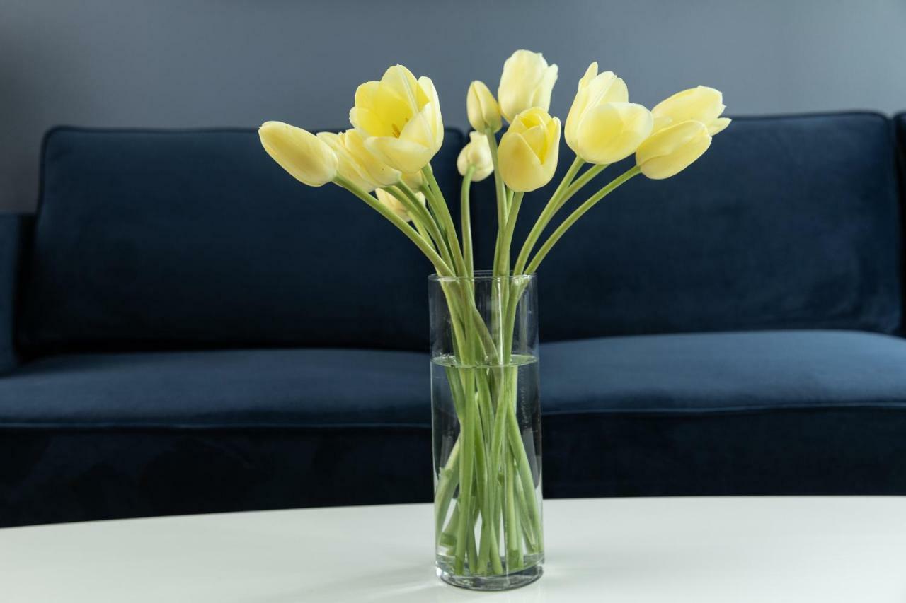 Domicile Suites At Harbor Steps Apartment *